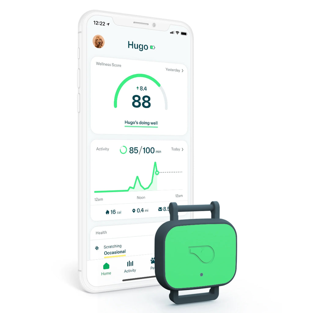 Dog Health and Fitness Tracker O9623