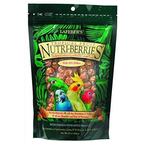 Parrot Food R83669