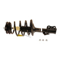 Strut Assembly A66418