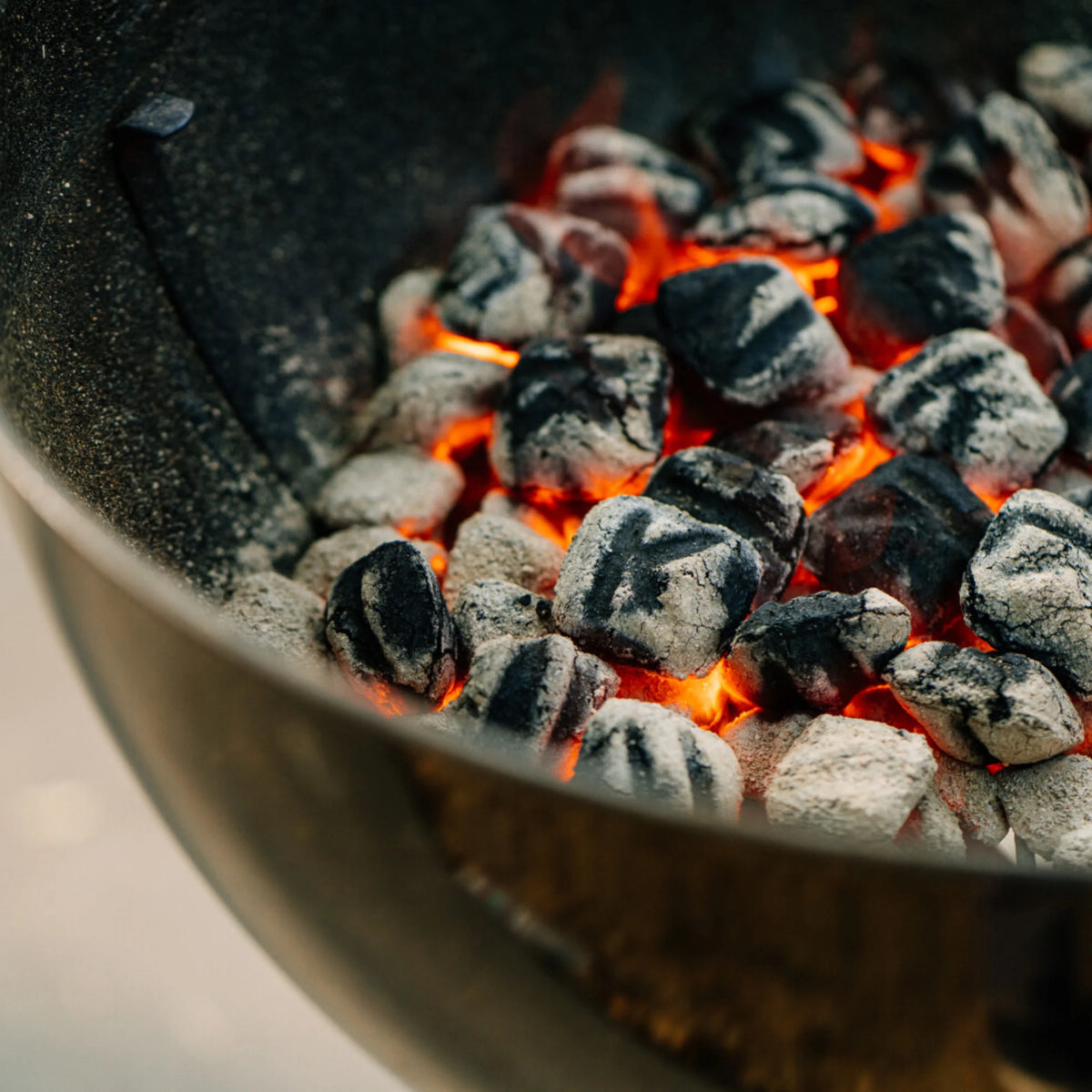 Charcoal Briquettes with Garlic, Onion and Paprika, 8 Pounds P727
