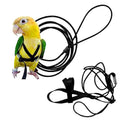 Adjustable Bird Harness and Leash B81862