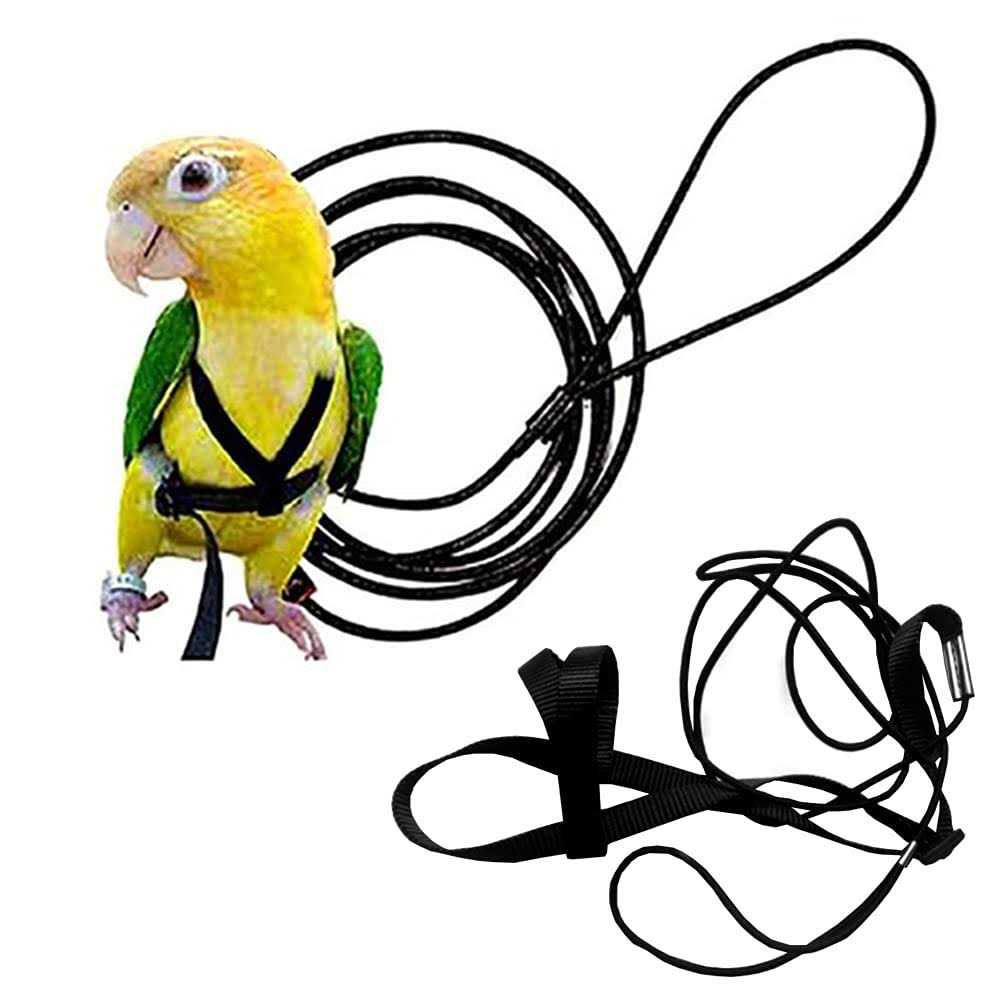 Adjustable Bird Harness and Leash B81862