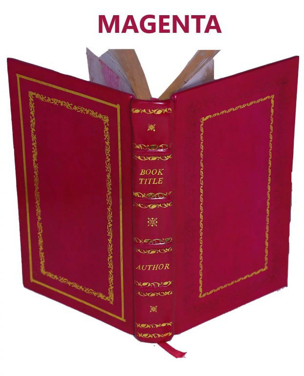 Memoirs Of Aga Khan 1945 Premium Leather Bound Y987217