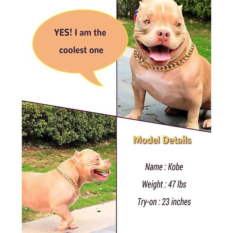 Gold Chain Cuban Link Dog Collar V924