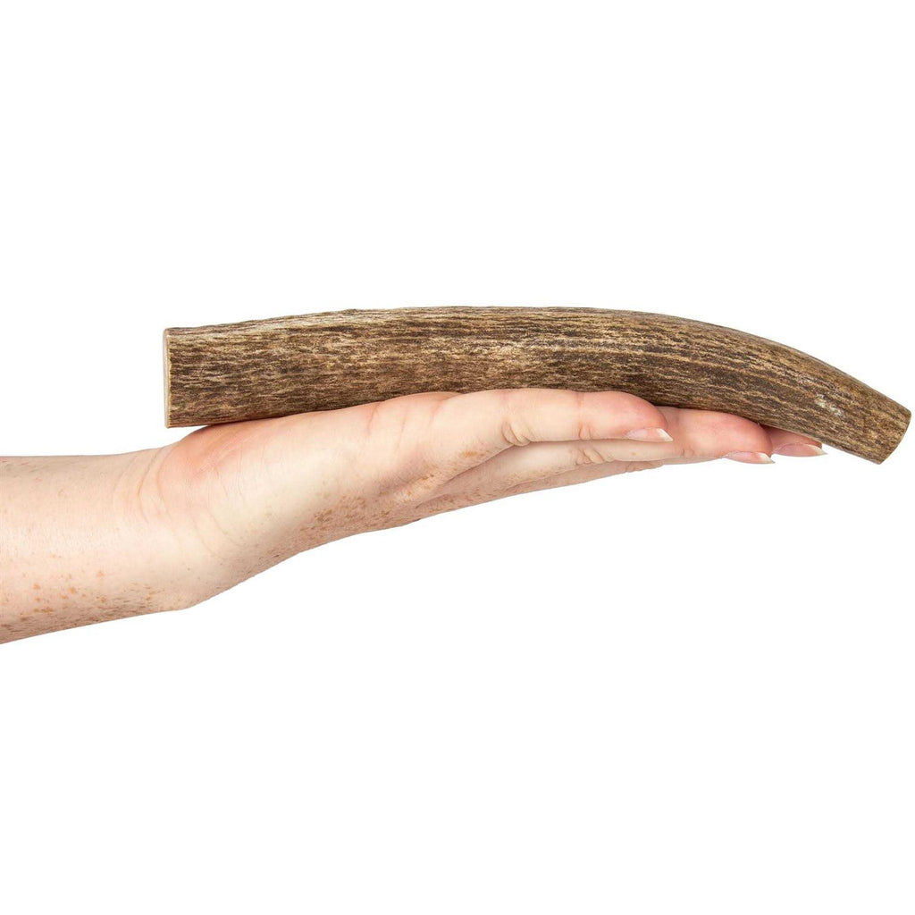 Elk Antlers for Dogs T37568