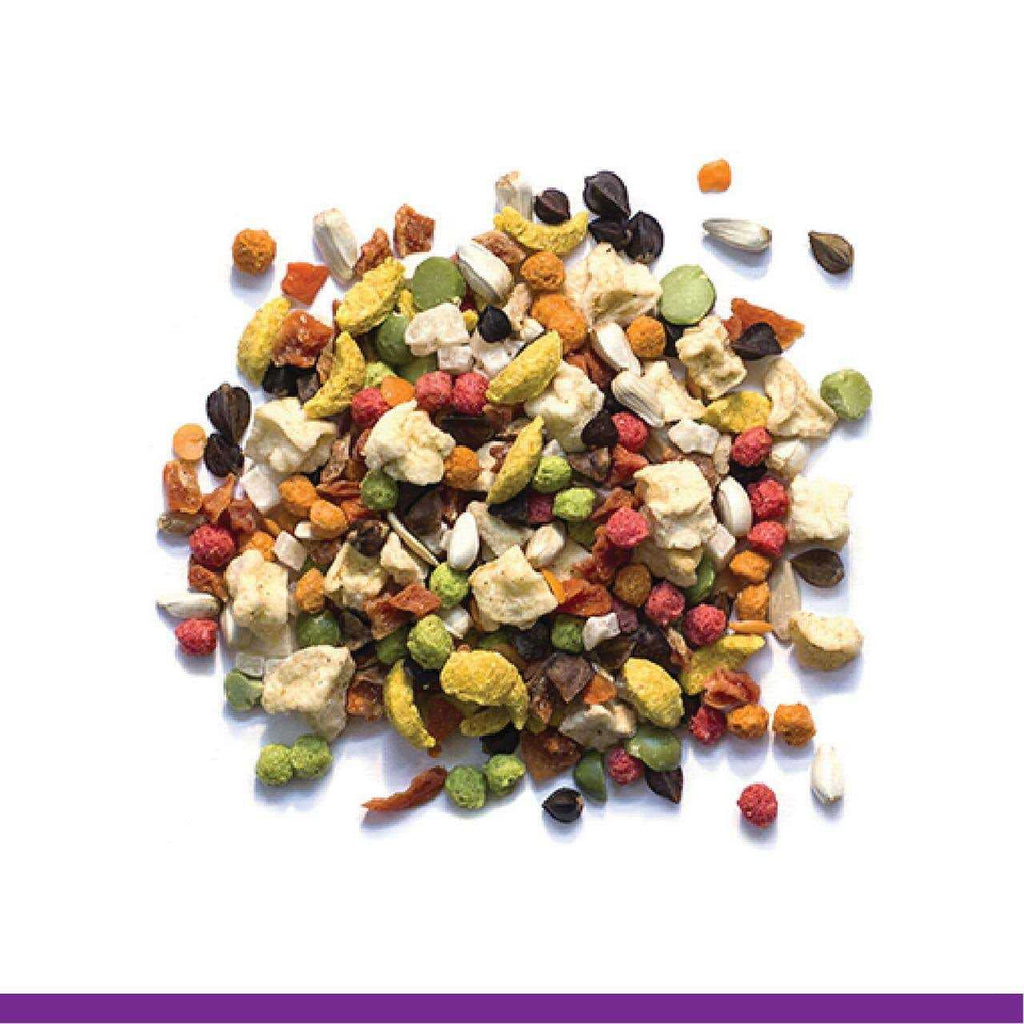 Pure Fun Bird Food G240