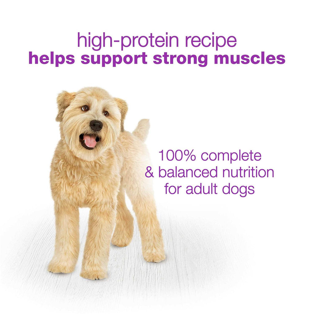 Wet Dog Food High Protein Variety Pack I242409