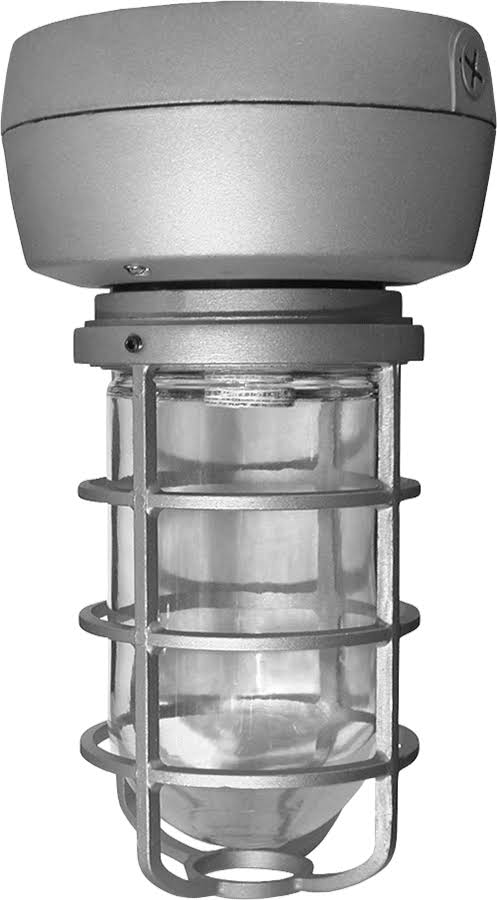 70W Metal Halide Ceiling Black with Glass Globe T4803