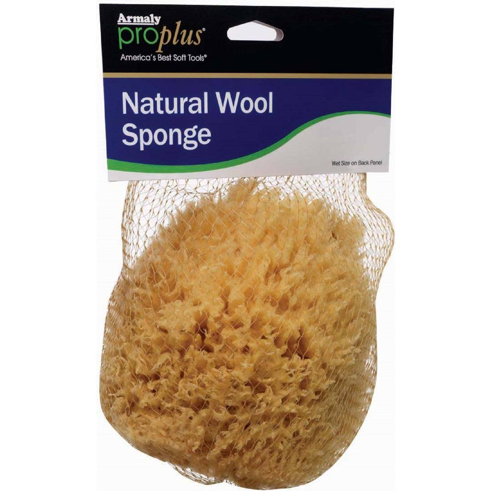 6 in. Natural Wool Sponge Case of 6 Y954117
