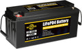 12V 100A LiFePO4 Deep Cycle Rechargeable Battery Pack with Built in BMS D814