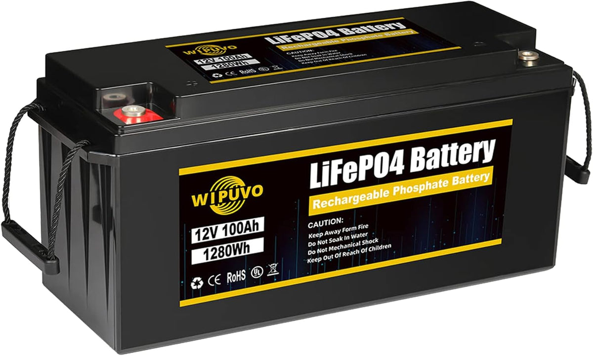 12V 100A LiFePO4 Deep Cycle Rechargeable Battery Pack with Built in BMS D814