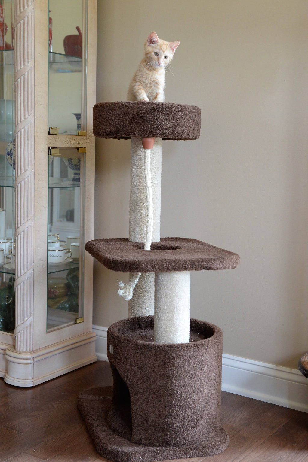 Carpeted Cat Tree E776