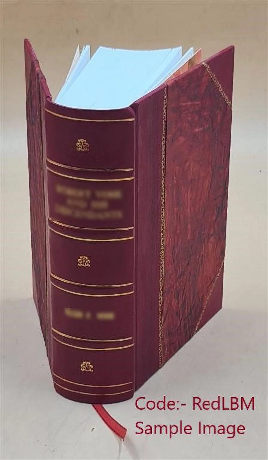 Āchārāṅga sūtra Leather Bound G484