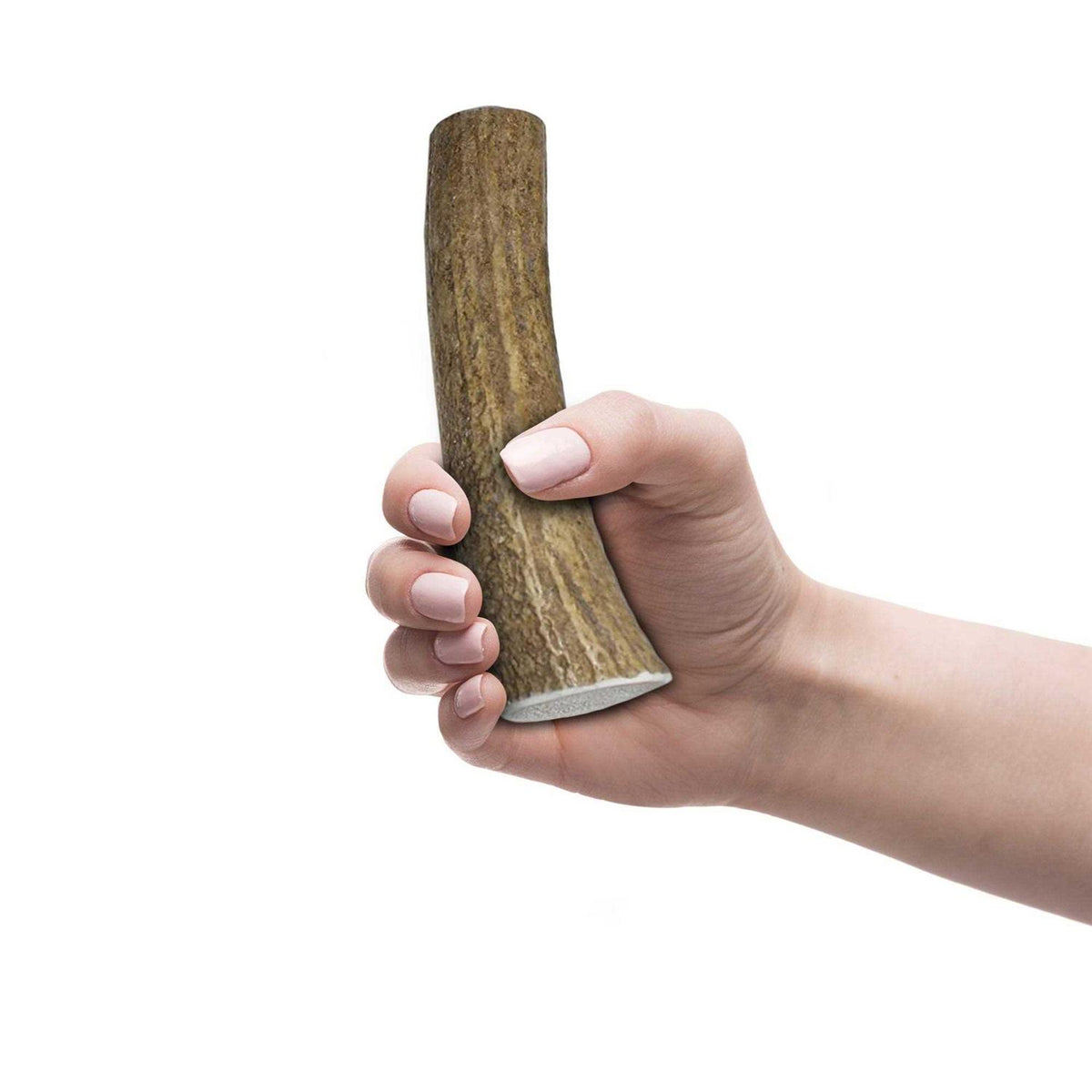 Elk Antlers for Dogs T37568
