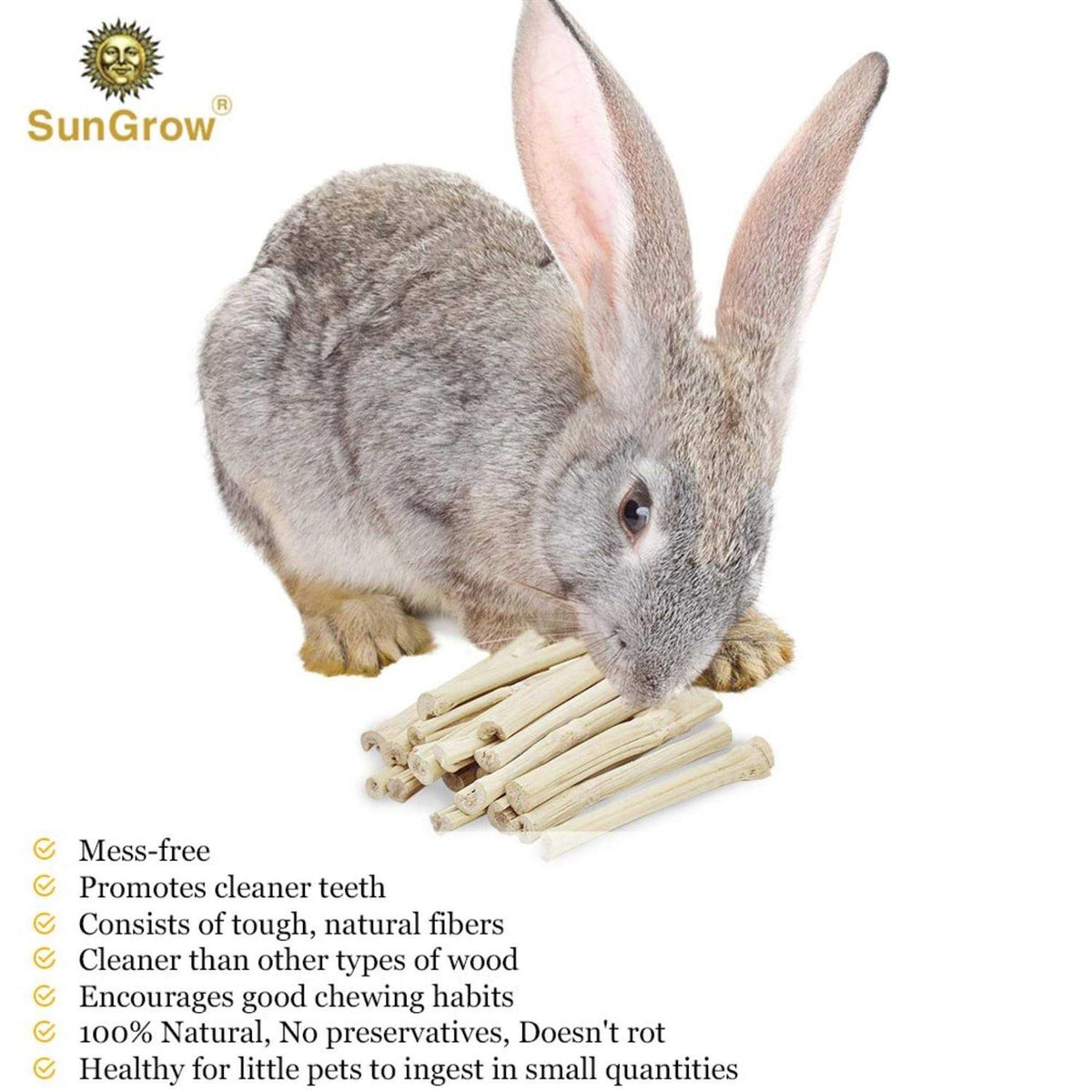 Bamboo Chew Sticks Small-Pet Dental Treats & Snacks F81088