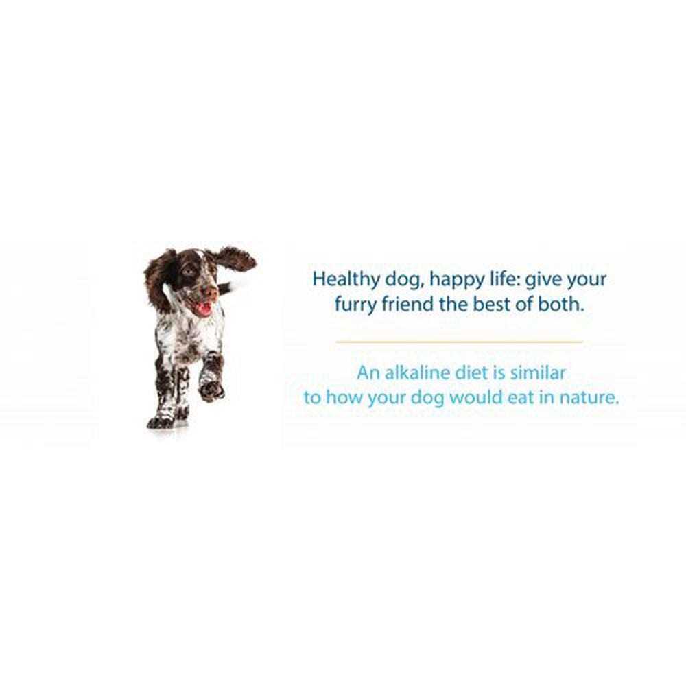Limited Ingredient Dry Dog Food N37304