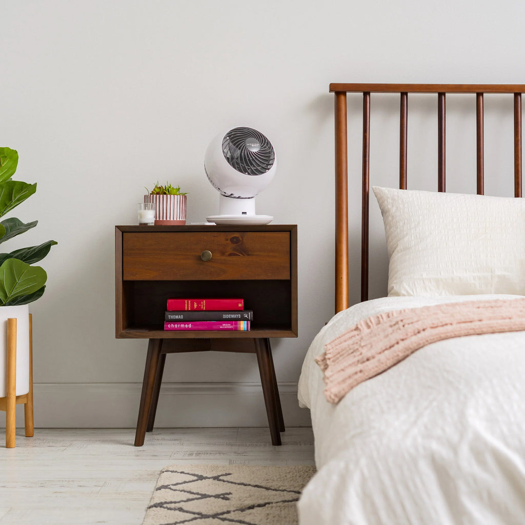 5-Speed Globe Fan with Adjustable Settings V998