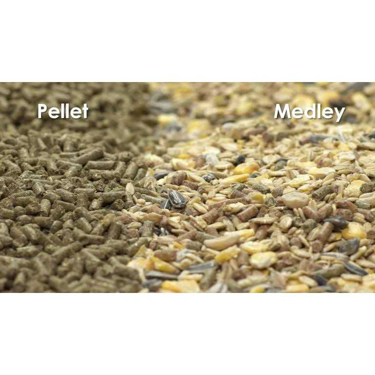 Hamster Gerbil Food K99946