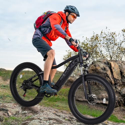 750W Electric Bike 48V 14AH Removable Battery 27.5" Fat Tire 7 Speed Z68562