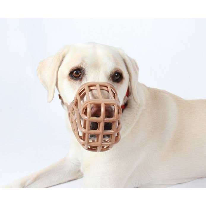 Muzzle I792