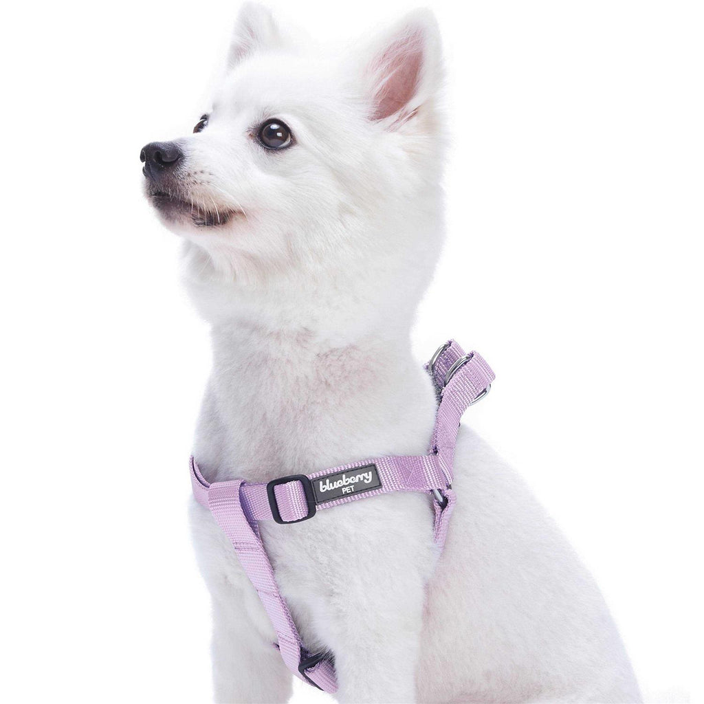 Solid Nylon Step-In Dog Harness T791974