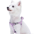 Solid Nylon Step-In Dog Harness T791974