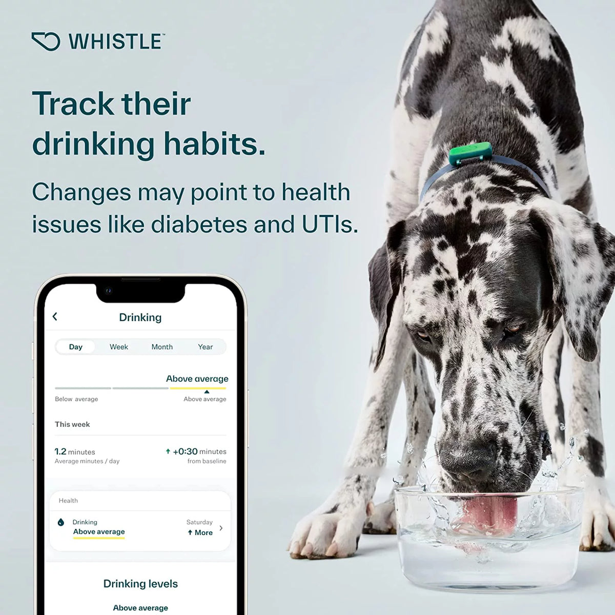 Dog Health and Fitness Tracker O9623