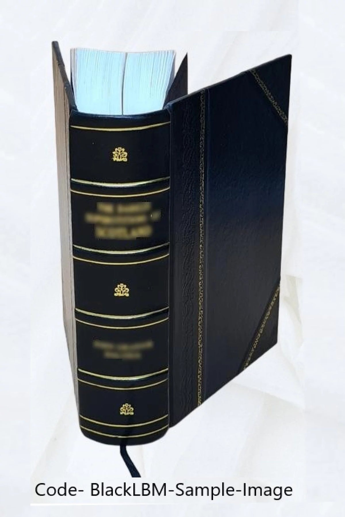 Commentaria in septem distinctiones de paenitentia Leather Bound T75816
