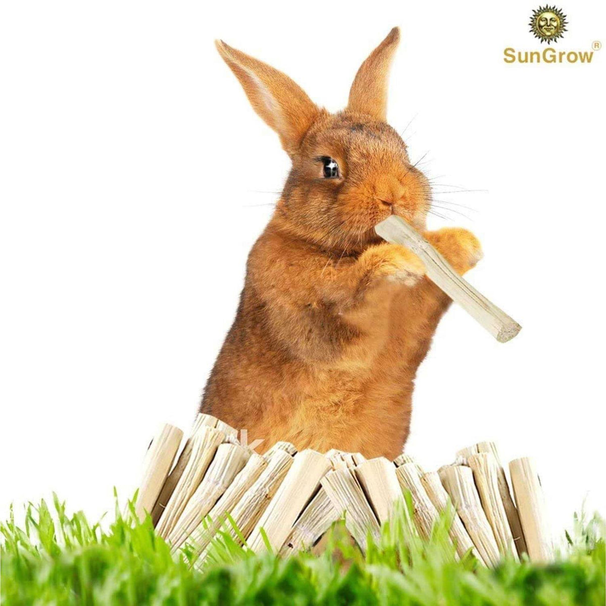 Bamboo Chew Sticks Small-Pet Dental Treats & Snacks F81088