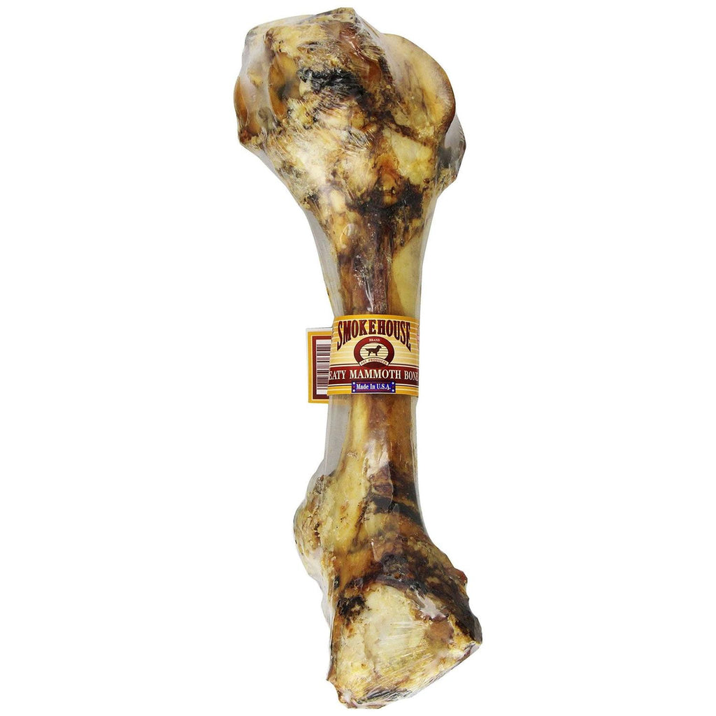 Meaty Mammoth Bone P3976