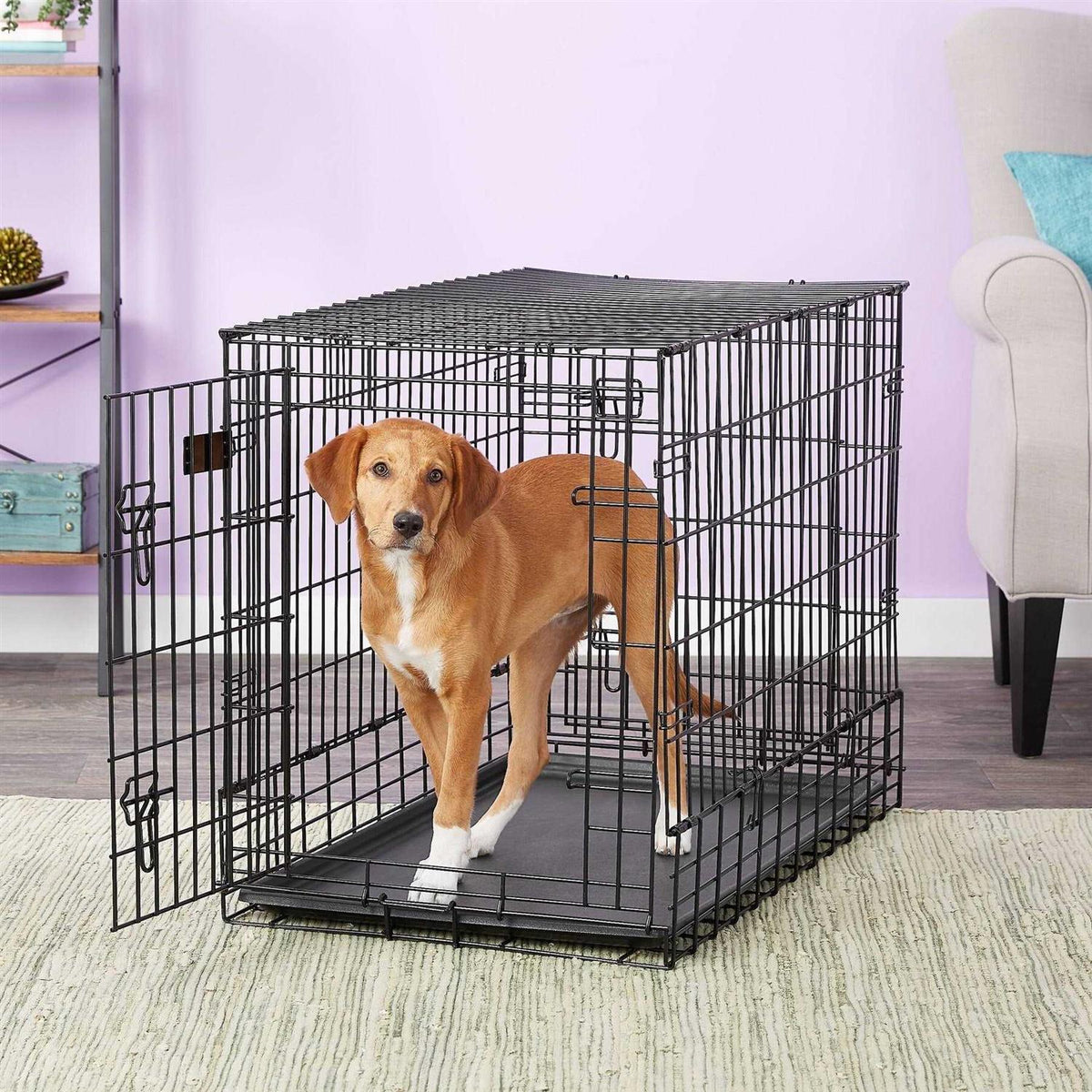Double Door SUV Dog Crate J1496