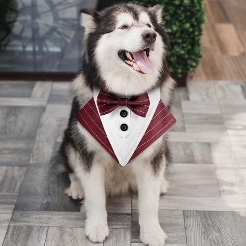 Adjustable Dog Bowtie Bandana W64695