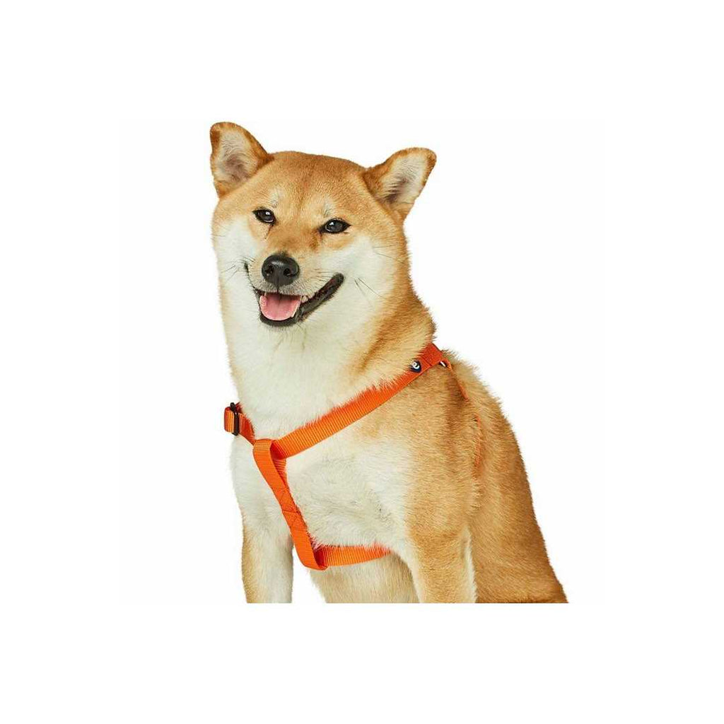 Solid Nylon Step-In Dog Harness T791974