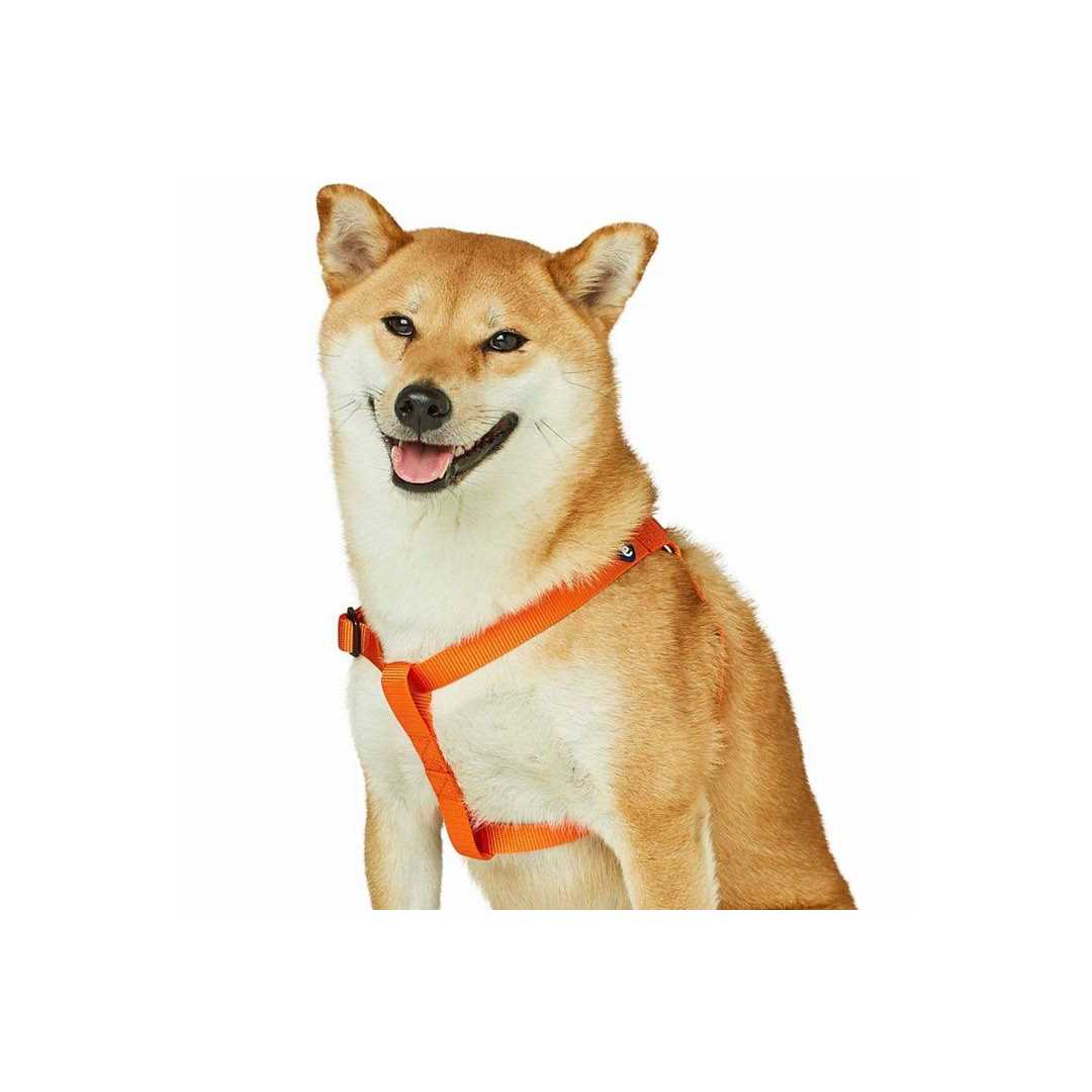 Solid Nylon Step-In Dog Harness T791974