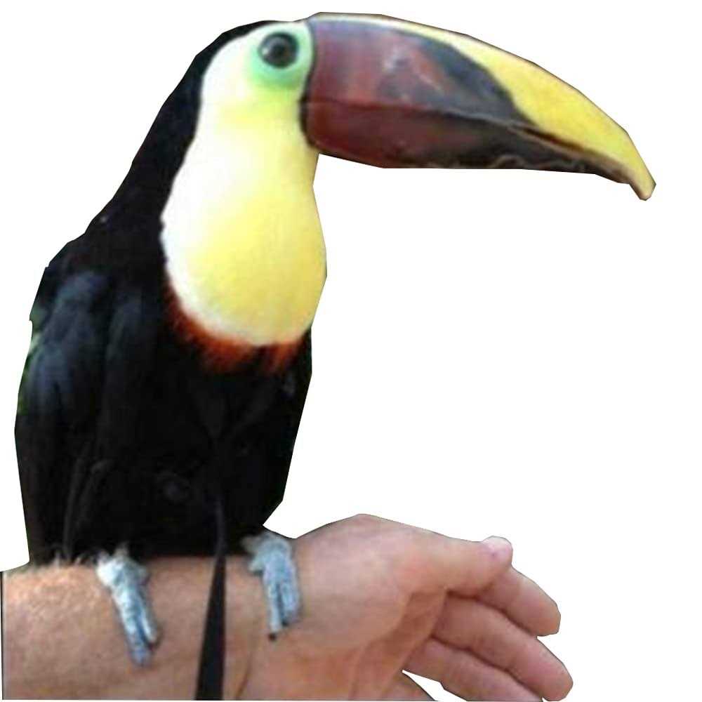 Adjustable Bird Harness and Leash B81862