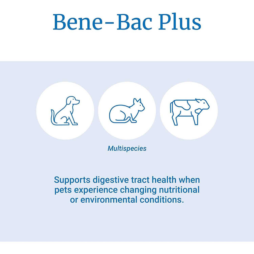 Pet Powder B62594