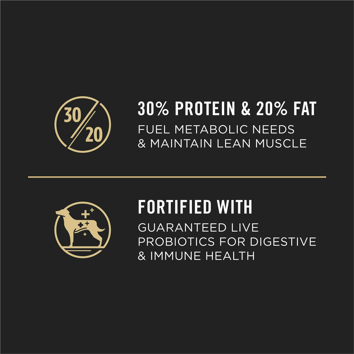 Beef & Bison Formula Dry Dog Food J513