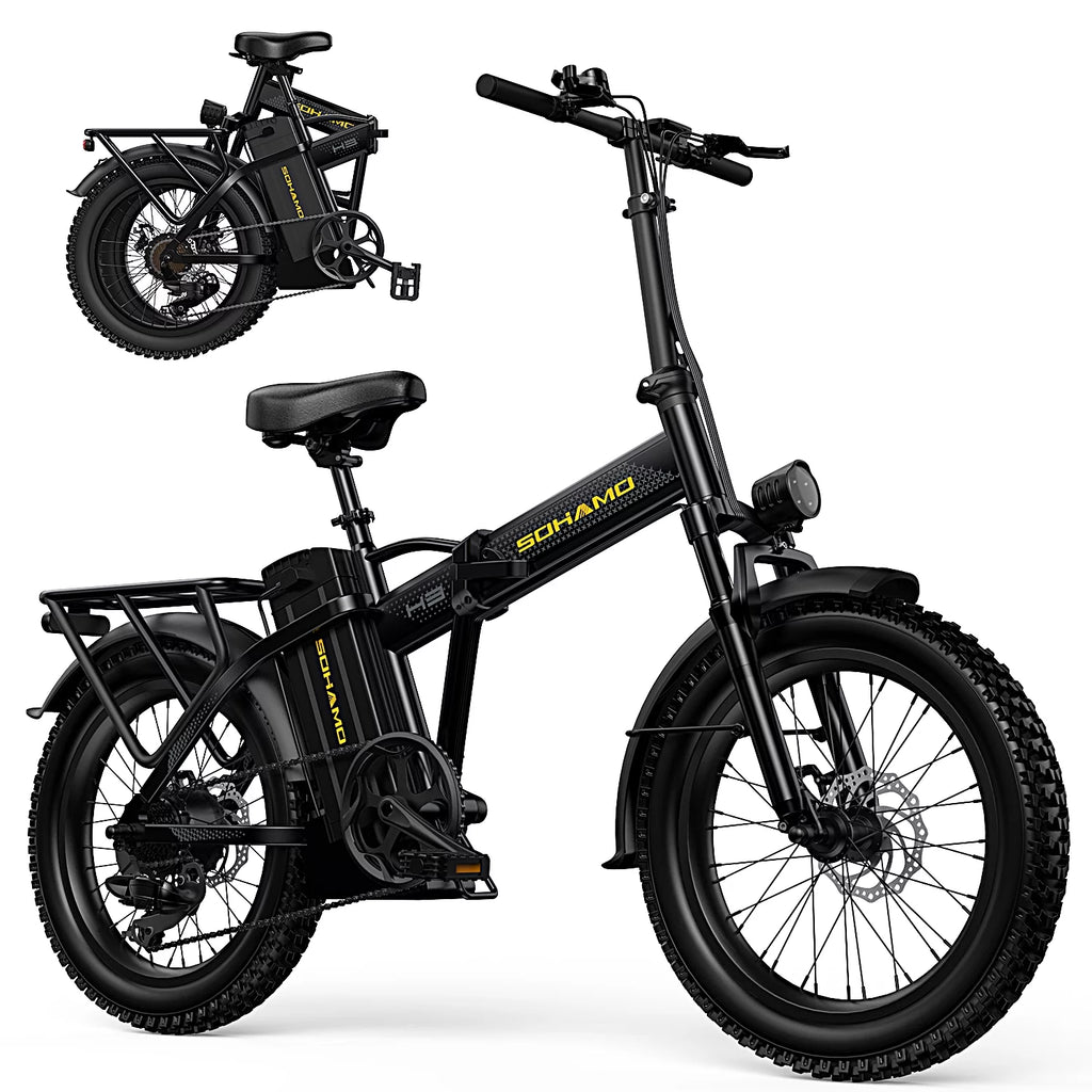 Foldable 20" Fat Tire Electric Bike with 750W Motor E8013