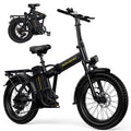 Foldable 20" Fat Tire Electric Bike with 750W Motor E8013