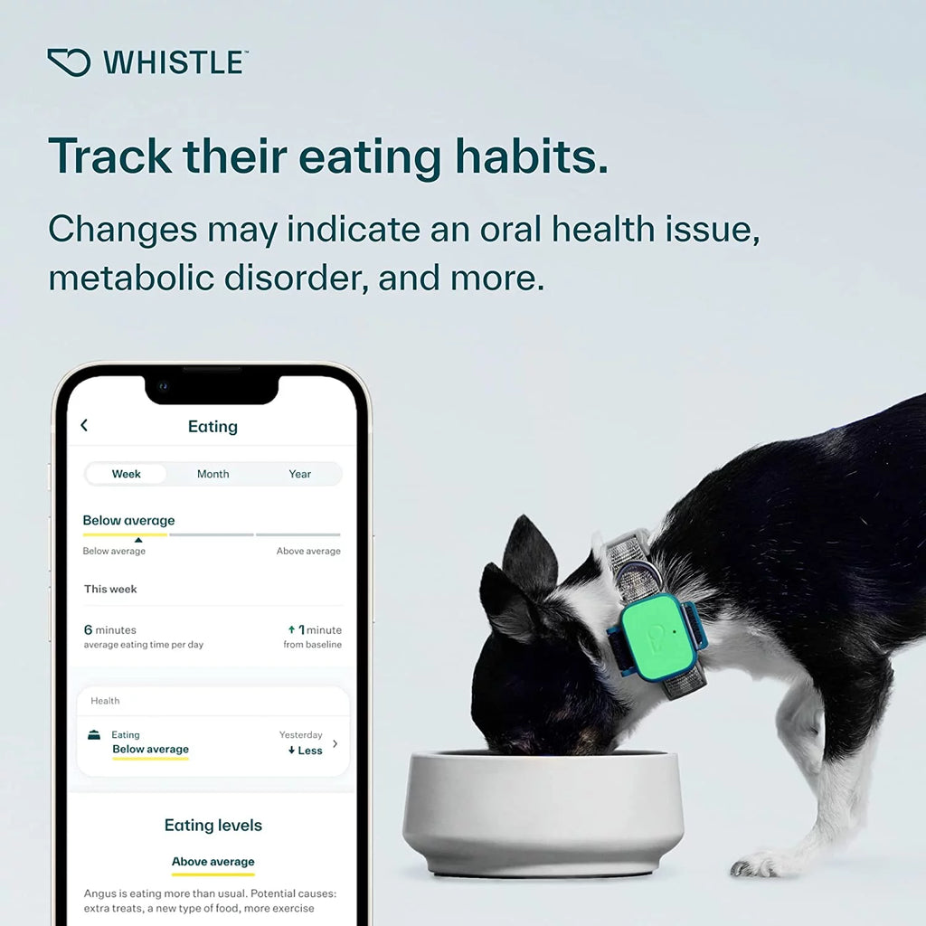 Dog Health and Fitness Tracker O9623