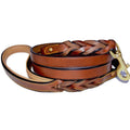 Leather Braided Dog Leash I5840