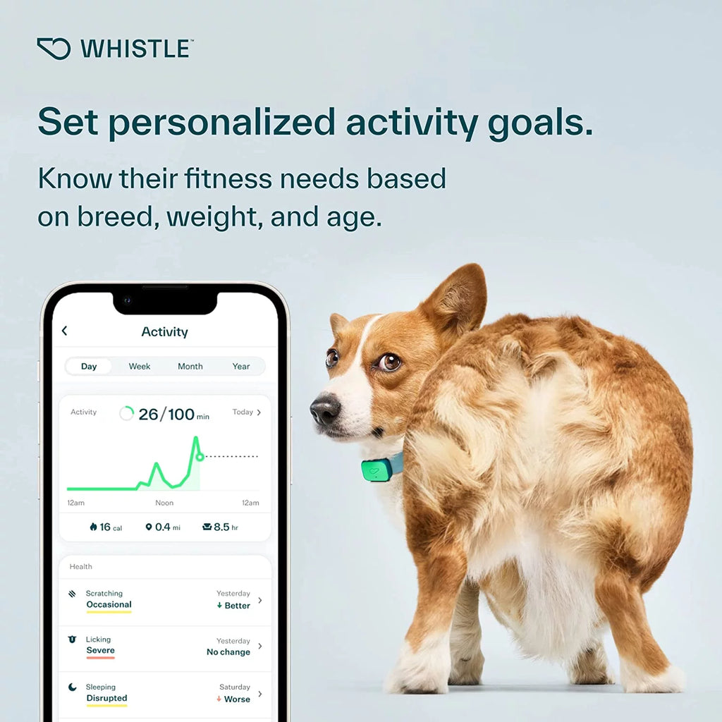 Dog Health and Fitness Tracker O9623