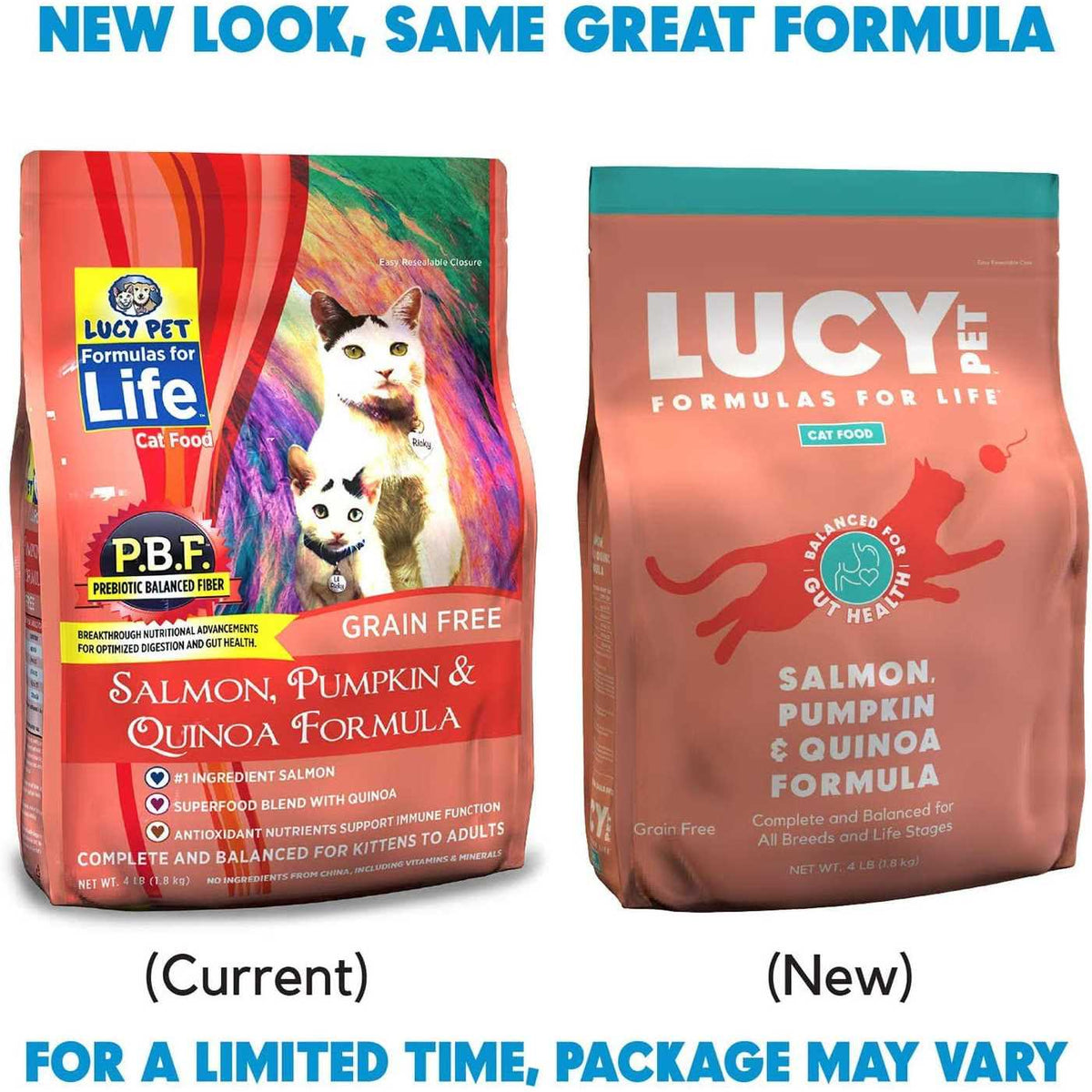 Dry Cat Food Salmon T30288