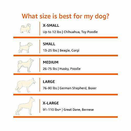 Soft-sided Folding Dog Kennel T85243