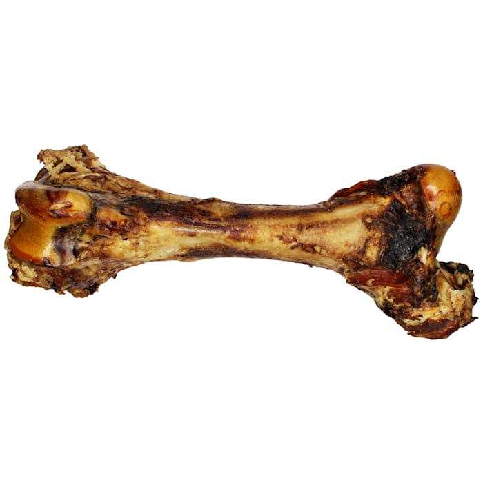 Meaty Mammoth Bone P3976