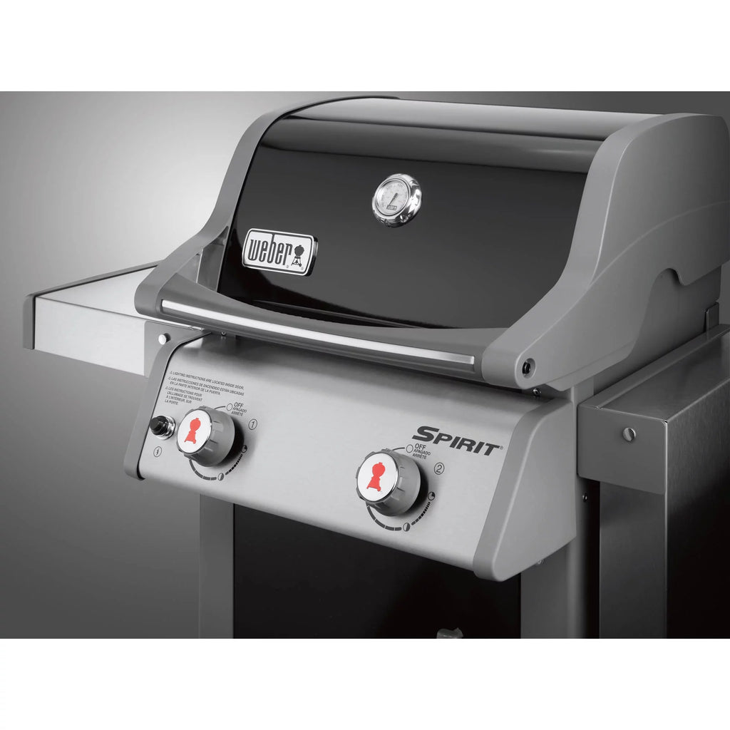 2-Burner Liquid Propane Gas Grill in Black T605