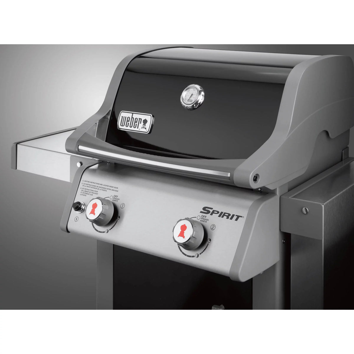 2-Burner Liquid Propane Gas Grill in Black T605