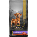 Beef & Bison Formula Dry Dog Food J513