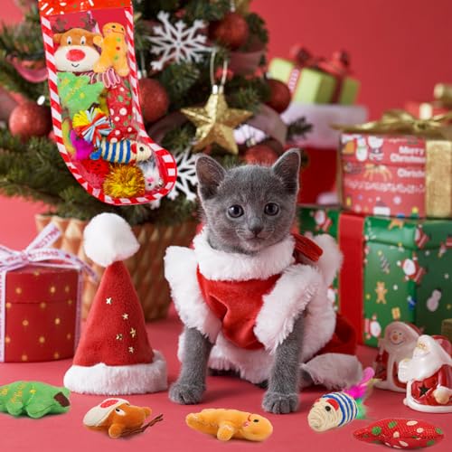 12Pcs Christmas Cat Toys Set with Catnip Plush Mice Feather Cat Wand T85759