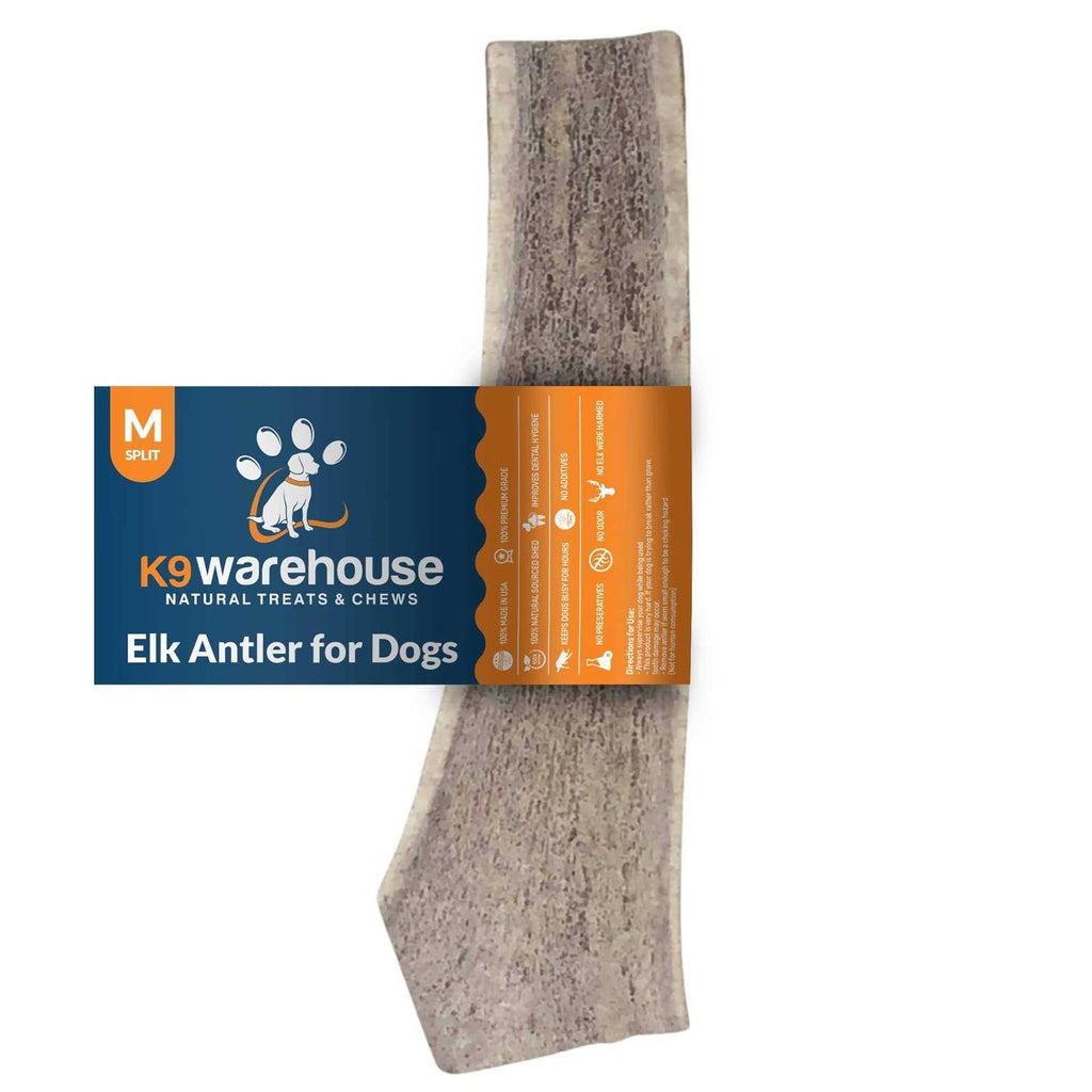Elk Antlers for Dogs T37568